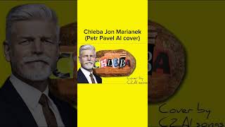 Jon Marianek  CHLEBA Petr Pavel AI cover [upl. by Hennessy]