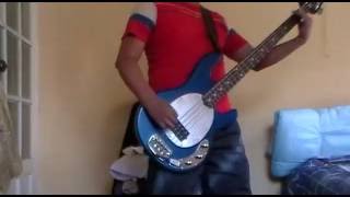 Polkas Palabras  Molotov  Bass Cover [upl. by Vernita398]