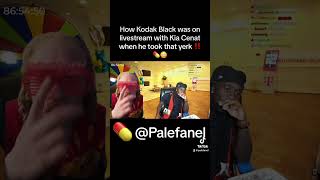 How Kodak Black was Tweakin off a Yerk on livestream with Kai Cenat youtubeshorts funnyshorts fyp [upl. by Emelyne]