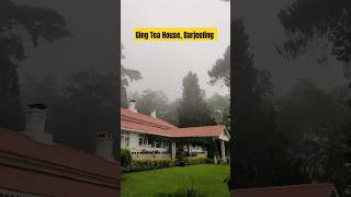 Darjeeling vlog  Darjeeling tourist places tourist places in Darjeeling ging tea house shorts [upl. by Tsnre]