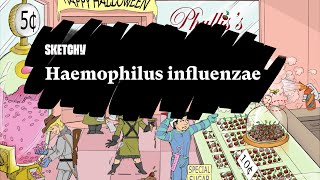 Haemophilus influenzae Infection Fundamentals Part 1  Sketchy Medical  USMLE Step 1 [upl. by Delaney]