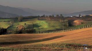 Oltrepò Pavese  Wine region  Italy [upl. by Navillus]