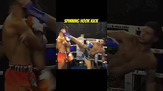 Knockouts kicks kickboxing martialarts kungfu karate [upl. by Notlaw62]