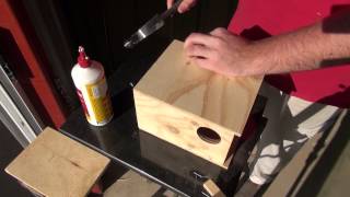 How To Build a Budgie Nest Box  BirdSpyAus [upl. by Ymer390]