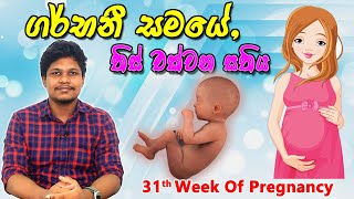 Pregnancy 31st Week  Sinhala Medical Review  අම්මයි බබයි [upl. by Ellednahc]