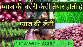 प्याज की नर्सरी कैसी तैयार होती है प्याज की खेती रोग और कीट प्रबंधfarming growwithagriculture11 [upl. by Dnaltroc]