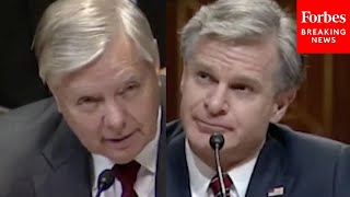 The World Is On Fire Lindsey Graham Directly Confronts FBIs Wray Over Border [upl. by Hilliard]