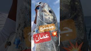 Bludger Trevally on Samurai Sparrow Jig 120g  Oman [upl. by Mcclees]