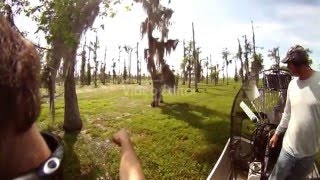 Nutria Hunting in Louisiana swamp [upl. by Signe]