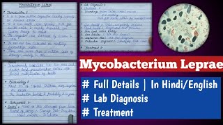 mycobacterium leprae  mycobacterium leprae microbiology [upl. by Ainafets]