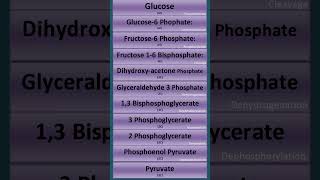 Glycolysis in 50 Seconds  shorts glycolysis cellularrespiration biology neet ncert cbse [upl. by Faubert]