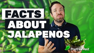 Facts About Jalapenos [upl. by John992]