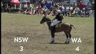 Australian Polocrosse National Championships  Perth 2008  Senior Mixed Final  NSW vs WA [upl. by Ntsyrk]