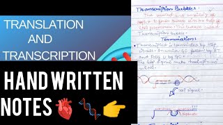 Mutation❤transcription and translation😍🧬 class 12 biologyeasynotes handwrittennotes [upl. by Seni]