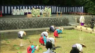 【京都】伏見稲荷大社 田植祭 2017 Fushimi Inari Taisha RicePlanting Festival 2017 [upl. by Norvin]