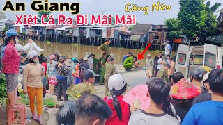 An Giang lại CĂNG ông lão 62T xiệt cá ra đi mãi mãi chỉ vì vài chục ngàn mưu sinh [upl. by Hashim]