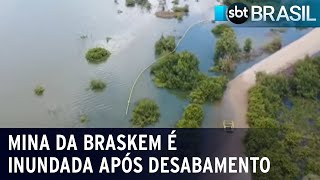 Perícia analisa contaminação de lagoa após desabamento de mina da Braskem  SBT Brasil 111223 [upl. by Nilyac]