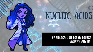 AP Biology College Prep CRASH CRAM COURSE Unit 1 Chemistry of Life Nucleic Acids 16 [upl. by Chainey]