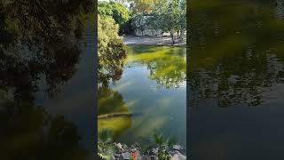 PARC DE quotCAN MERCADERquotCornellà de Llobregatparque lago cornella nature travel turismo [upl. by Faline]