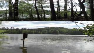 Blewett Falls Lake North Carolina Lot Tour  FOR SALE LAKE FRONT HOME SITE  2013 [upl. by Netsriik614]