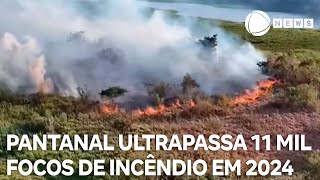 Pantanal ultrapassa 11 mil focos de incêndio em 2024 [upl. by Halika]