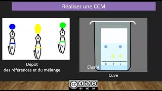 Formation expérimentale hors du temps scolaire – réaliser une chromatographie à couche mince [upl. by Landes]