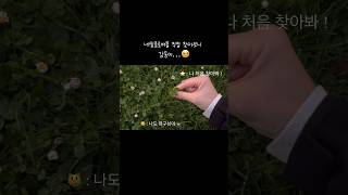 행운을 찾아서 🍀  뉴질랜드 브이로그 워킹홀리데이 vlog 여행 lucky 네잎클로버 🍀 [upl. by Fatimah]