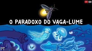 O mistério da bioluminescência  Minuto da Terra [upl. by Haela]