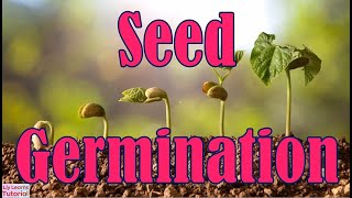 Formation Of Seed  What Is FERTILIZATION  The Dr Binocs Show  Peekaboo Kidz [upl. by Rubie700]