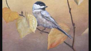 WILDLIFE ART  Chickadee 2009 [upl. by Imuy]