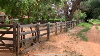 Sítio de 20 hectares à venda em Riachão das Neves Bahia [upl. by Elodea412]