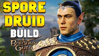 THE BEST Spore Druid Melee Hybrid Build for Baldurs Gate 3 [upl. by Earlie]