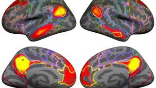 YeoetalJNeurophysiol2011PrecuneusPCCavi [upl. by Elia341]