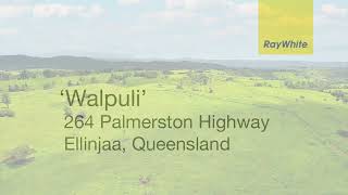 Walpuli Atherton Tablelands Qld [upl. by Cade]