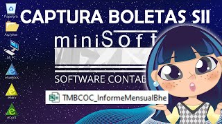 MiniSoft Importador de Boletas SII [upl. by Lleryt]