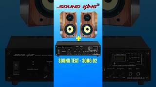 2 Sound King F35K Speaker  sk25000 21 Amplifier Sound Test [upl. by Wyn]