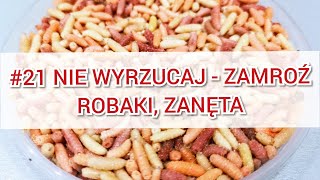 21 Mrożenie zanęty robaków jockersa  Wędkowanie 24h [upl. by Tobias]