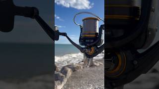 ⚫️Daiwa Emblem Surf 45 ⚫️ daiwa surfcasting fishing fish carrete [upl. by Gereld]