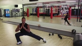 Transverse Lunge  Exercise amp Fitness Tips [upl. by Sacram]