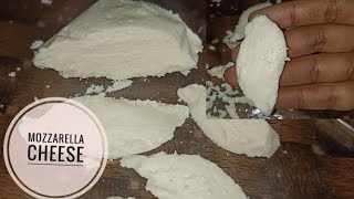 Mozzarella cheese recipe bangla  How to make mozzarella cheese [upl. by Paloma]