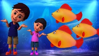 Machli Jal Ki Rani Hai  Hindi Rhymes  मछली जल की रानी है  Kids Tv India  Hindi Nursery Rhymes [upl. by Gorden]