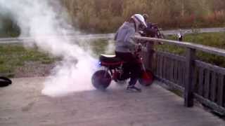 Suzuki PV 80cc Malossi  20mm Dellorto Small BURNOUT [upl. by Aital]