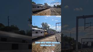 1AD8 races through Salisbury Interchange with NR27 Indian Pacific  NR35 shorts seb trains 4u [upl. by Ylrad]