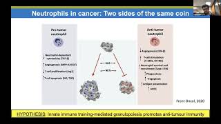 Ioannis Kourtzelis Innate immune training of granulopoiesis promotes antitumor activity [upl. by Calla]