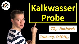 Kalkwasserprobe CO2 Nachweis amp Wassernachweis  Chemie Tutorial [upl. by Nerek]