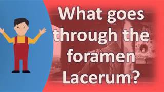 What goes through the foramen Lacerum   Better Health Channel [upl. by Port442]