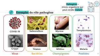 Les microorganismes pathogènes 🦠 [upl. by Arihas684]