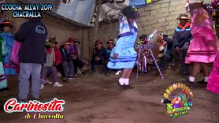 ANTICIPA DE HUAYLIA 2019 EN CHACRALLABARRIO DE CCAYAHUA [upl. by Atinod]