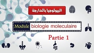 Biologie moléculaire partie 1 ADN et ARN et ribosomes quoteucaryote et procaryotequot البيولوجيا بالدارجة [upl. by Ahsieym]