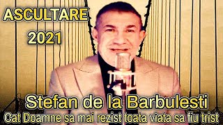 Stefan de la Barbulesti ❌ Cat Doamne sa mai rezist toata viata sa fiu trist 2021 ASCULTARE [upl. by Nabi]